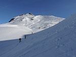bscarp17 034m